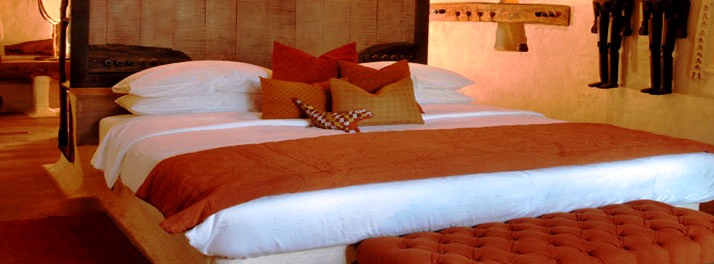 715/Taj Mahua Kothi Bandhavgarh National Park - Umaria 09.jpg